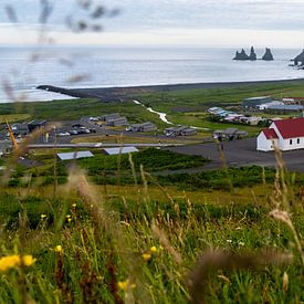 Uitzicht op Vík in IJsland van Linda Schouw