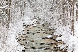 Kleiner Bach im Schneewald von Frank Herrmann