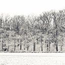 Winterwald von Ada Zyborowicz Miniaturansicht