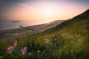 Summer Haze (dunes Zoutelande) by Thom Brouwer