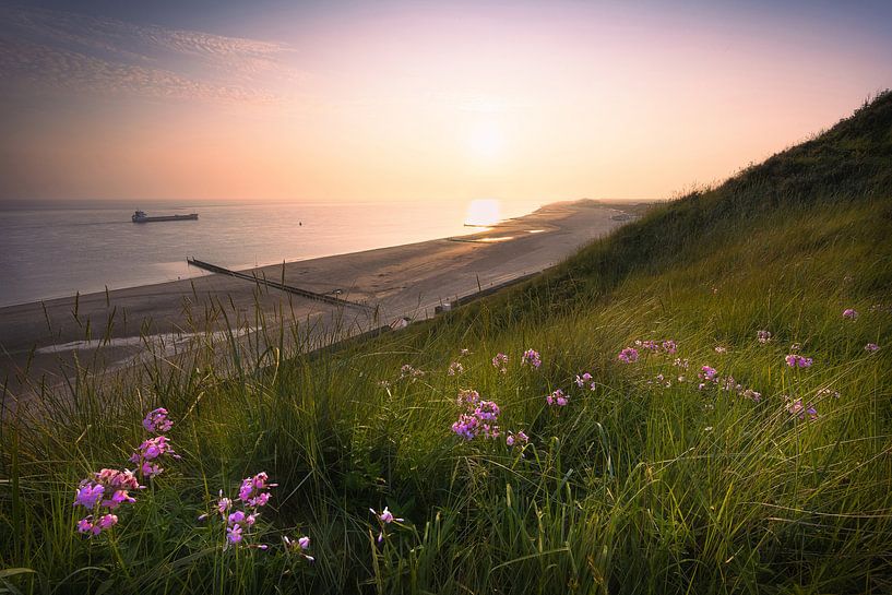Summer Haze (Dunes de Zoutelande) par Thom Brouwer