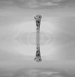 The man and the sea by Duvergeartstudio