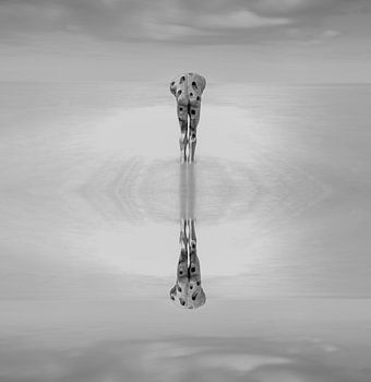 Der Mann und das Meer