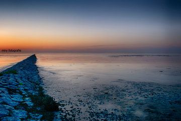 Wadden Sea by Mirjam Rypma