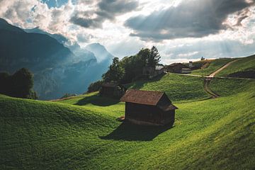 Rayons de soleil magiques dans les Alpes suisses sur elma maaskant