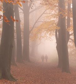 Nebliger Tag im Gewölbewald von Nicola Mathu
