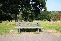 Die Natur entdecken in einem Waldgebiet im Emsland, Niedersachsen, Deutschland