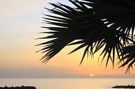Playa Amadores Gran Canaria Sonnenuntergang von Renate Knapp Miniaturansicht