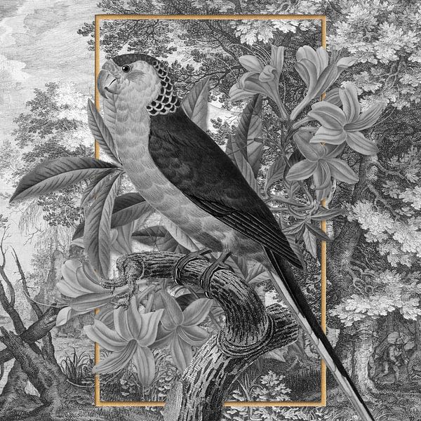 Parrot in Grey and Gold by Marja van den Hurk