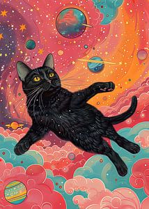Schwarze Katze im Raum 13 #Katze