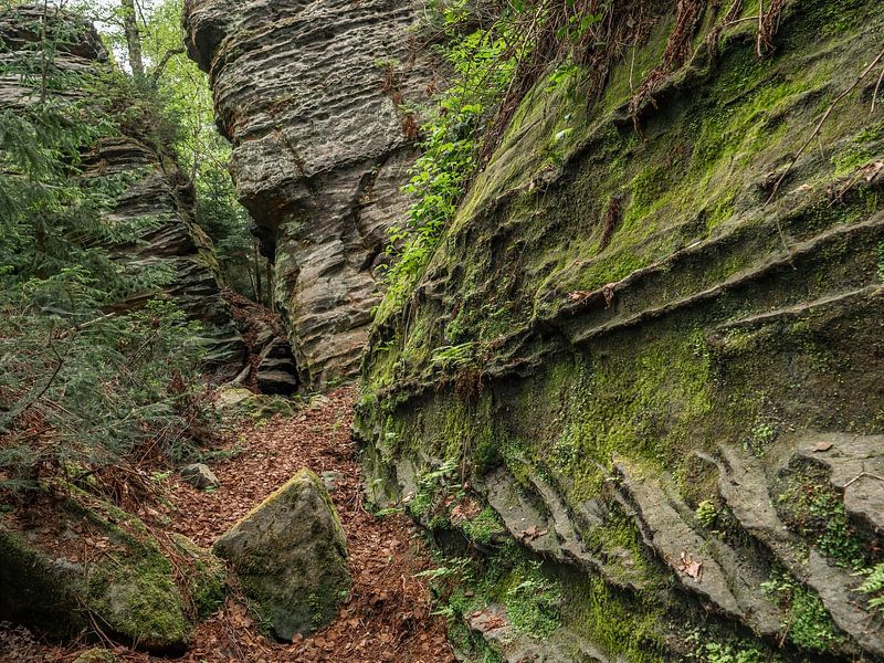Bielatal, Sächsische Schweiz - Grüne Felswand am Zauberberg von Pixelwerk