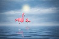 Flamingos (3) van Ursula Di Chito thumbnail