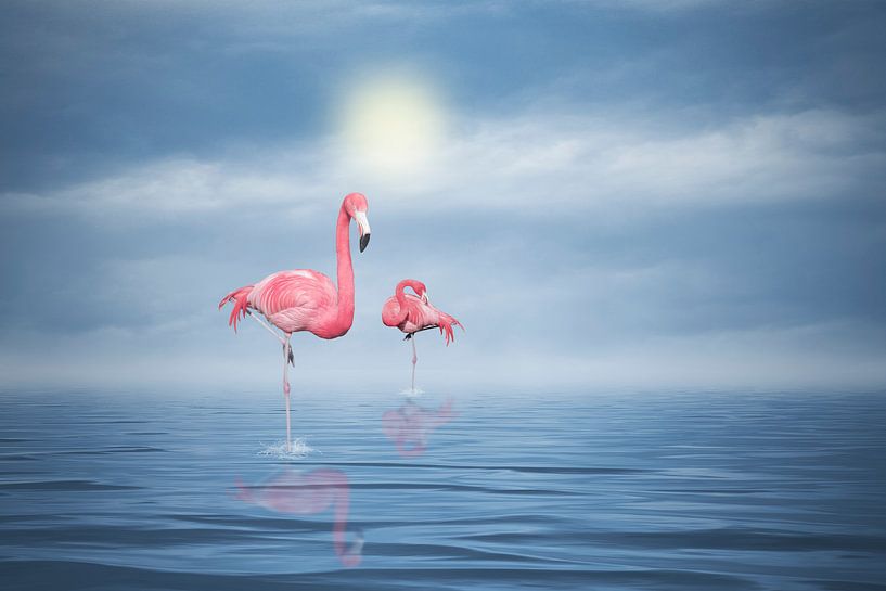 Flamingos (3) van Ursula Di Chito