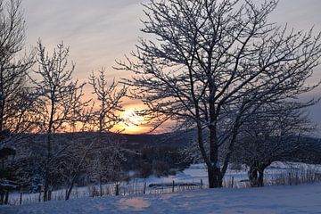 Een zonsopgang op een koude ochtend van Claude Laprise