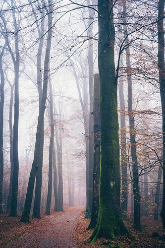 Park Sonsbeek part 3