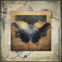 Ich selbst werden - Schmetterling