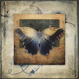 Ich selbst werden - Schmetterling von Studio Papilio