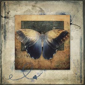 Devenir moi-même - papillon sur Studio Papilio