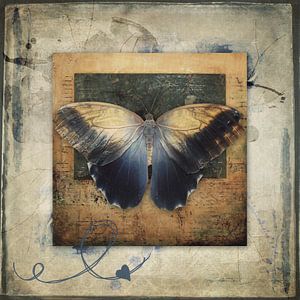 Becoming myself - vlinder von Studio Papilio
