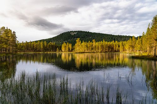 Sérénité Nordique | Reflets dans la Nature de Dalarna