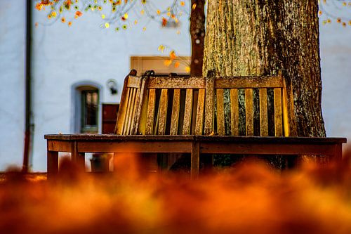 Baden-Württemberg : Le petit banc dans le jardin du monastère