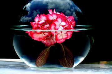 bloemen water kunst van Jeffry Clemens