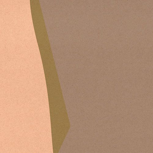 Organische en geometrische abstracte vormen nr. 3