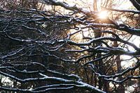 Winterzon