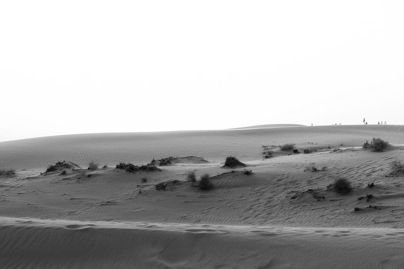 Desert Oman by Jim Plaum