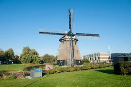 Geestmolen Alkmaar