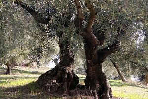 Ein Gespräch