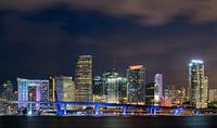 Skyline Miami Stadtzentrum von Mark den Hartog Miniaturansicht