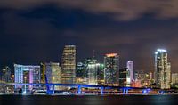 Skyline Miami Downtown