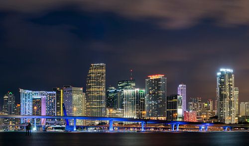 Skyline Miami Downtown