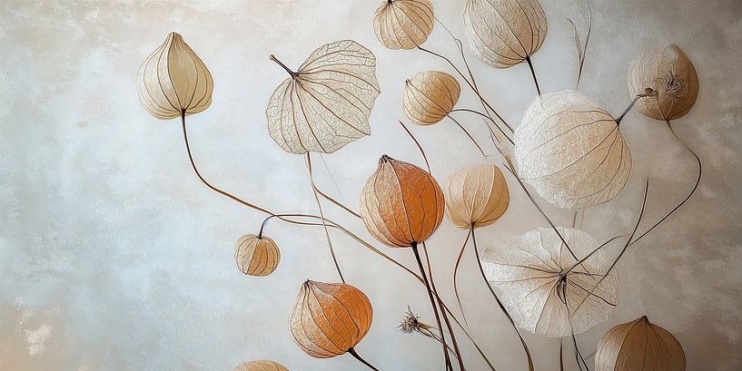 Physalis in Sepia von Studio BB