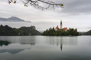 Der Bleder See an einem nebligen Morgen im Herbst