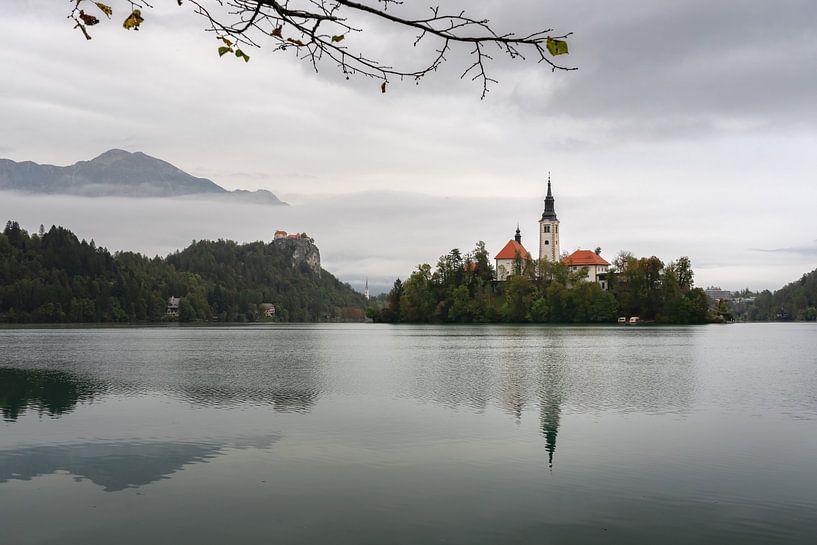 Der Bleder See an einem nebligen Morgen im Herbst von Anges van der Logt