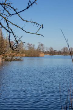 Een meer in de duinen van Selwyn Smeets - SaSmeets Photography