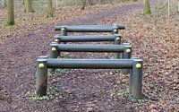 Fitness equipment in a forest - One stage of many van Micha Klootwijk thumbnail