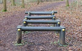 Fitness equipment in a forest - One stage of many von Micha Klootwijk