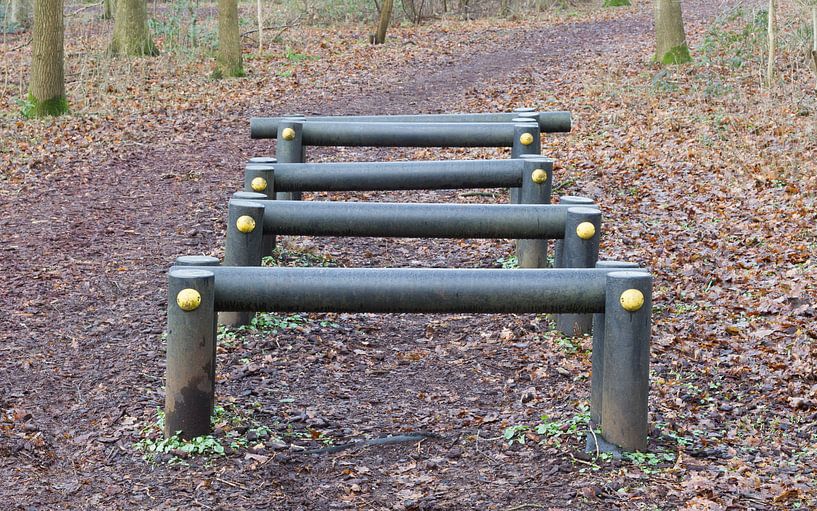 Fitness equipment in a forest - One stage of many van Micha Klootwijk