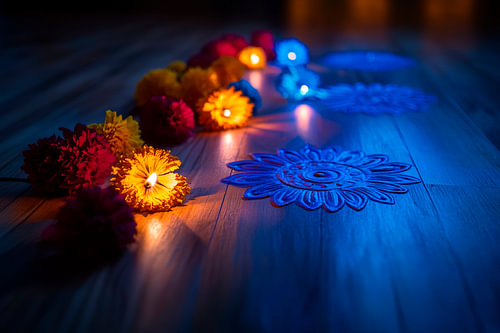 Lumières et fleurs