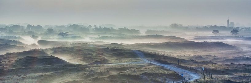 Nebel in den Dünen bei Huisduinen und Den Helder von eric van der eijk