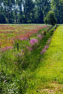 voorjaars bloemen van ton vogels