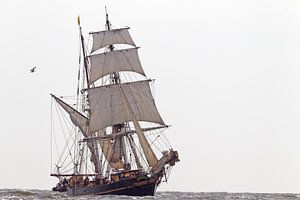 Tres Hombres en haute mer en direction du port d'attache