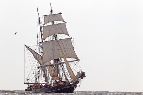 Tres Hombres auf hoher See in Richtung Heimathafen