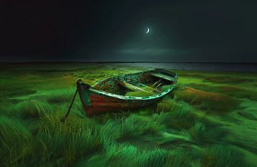 Boot bij maanlicht van fernlichtsicht