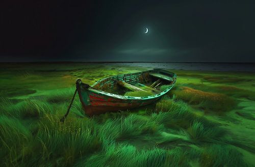 Boat under moonlight