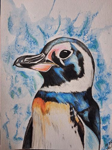 Pinguïn