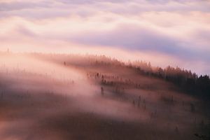 Schleier des Morgens